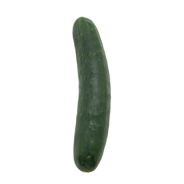 Large Cucumber