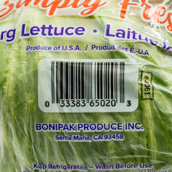 Iceberg Lettuce