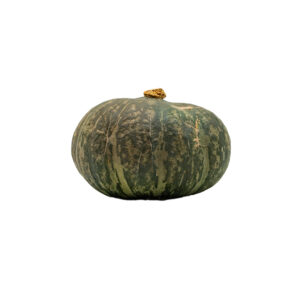 Kabocha 10-14ct 35#