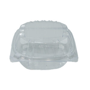 C57PST1 Clear Hinged Container