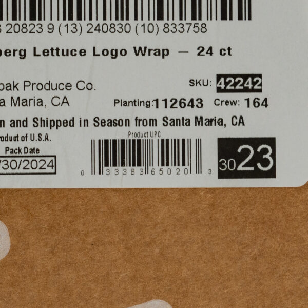 Iceberg Lettuce 24ct