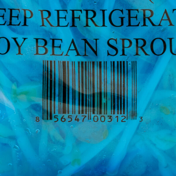 Soy Bean Sprout 1#