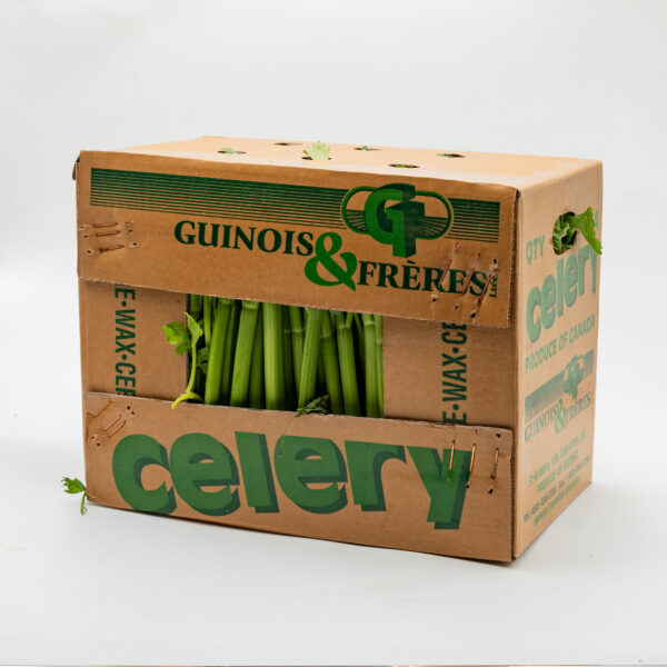 Celery