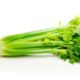 Celery