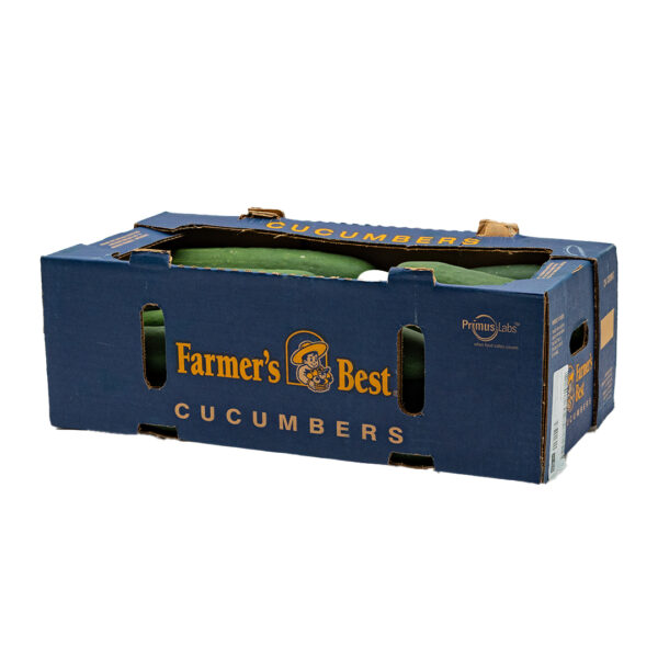 Cucumber 24ct