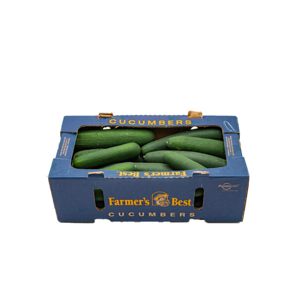 Cucumber 24ct