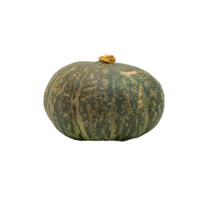 Kabocha 10-14ct 35#