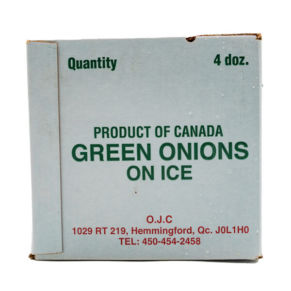 Green Onion