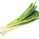 Green Onion