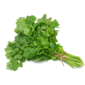 Cilantro (60 Bundles)