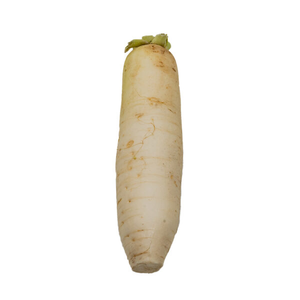 Lo Bok Daikon White 40#