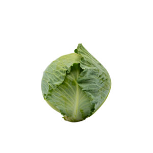 Boxed Cabbage