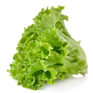 Green Leaf Lettuce