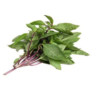 Basil