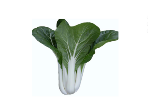 Bok Choy 40#